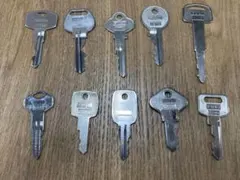 Item thumbnail for item b76303aa-1d79-4799-8167-c026cc181bcd