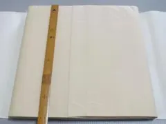 Item thumbnail for item 4bb91470-080c-47c4-9921-e41a37b12769