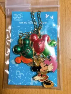 ディズニー　30周年　チャーム