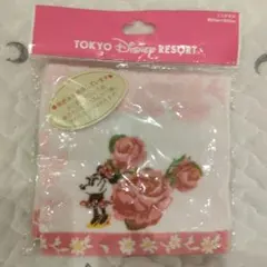 TOKYO DISNEY RESORT ミニータオル
