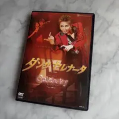 星組 宝塚大劇場公演 ミュージカル ダンサ セレナータ/ショー