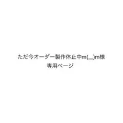 ただ今オーダー製作休止中m(__)m様専用ページ♡