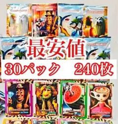 未開封 (240枚) 30パック イタリアンブレインロット カード