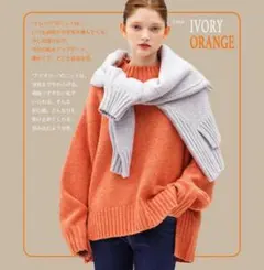 Avail denifits ハイネックニットプルオーバー