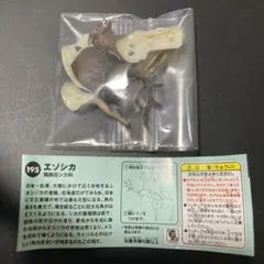 海洋堂　チョコQ エゾシカ
