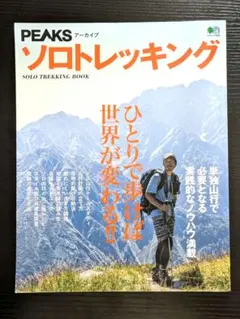 Item thumbnail for item dc507327-62d3-413c-bba6-998b562e549d