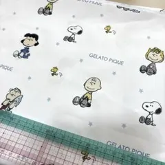 Item thumbnail for item f75c1783-9136-4304-a32f-df7303052cec