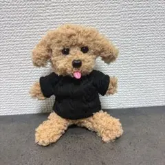【どこへ行くにも一緒シリーズ】あみぐるみ　トイプードル　キーホルダーのサムネイル