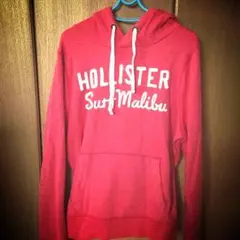 ホリスター HOLLISTER パーカー