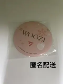 SEVENTEEN セブチ 一番くじ 缶マグネット D賞 ウジ
