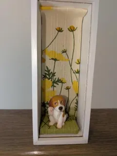 ビーグルボックス　黄花コスモス