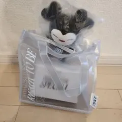 TWICE READY TO BE アプグレ特典 スペシャルバッグセット