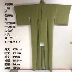 トールサイズ　絹　単衣　色無地　無地小紋 着丈175 裄71.5 秋冬春 トールサイズ 絹 単衣 色無地 無地小紋 着丈175 裄71.5 秋冬春 トール