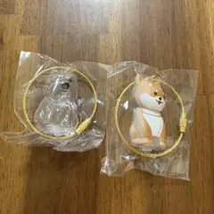 わんこのタイムカプセル 2点セット　まめ　モコ