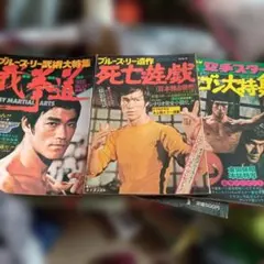 ブルース・リー 死亡の塔B全ポスター - メルカリ