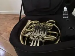 2025年最新】フルダブルホルンの人気アイテム - メルカリ