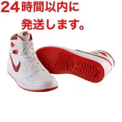 NIKE Air Jordan 1 85 ミニチュアコレクション　ジョーダン1