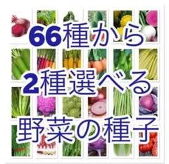 pigcham様 リクエスト 2点 まとめ商品
