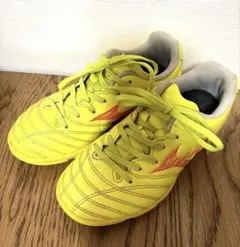 Item thumbnail for item 8bf551cb-6f36-4d87-b8f9-0ec98f4ffa95