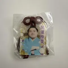 Item thumbnail for item 556c3e06-06fd-493b-9538-dd16bae04e43