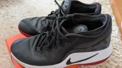【送料無料】Nike（ナイキ） レブロン ウィットネス 2　サイズ27cm