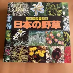 JOY様 リクエスト 5点 まとめ商品