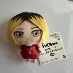 アニメ　ハイキュー!! ぬいぐるみちゃーむ vol.2 孤爪研磨　マスコットのサムネイル
