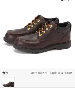 Item thumbnail for item 51daab58-d862-4dc9-9dce-39d475cb0482