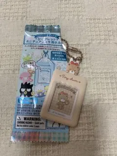 シークレットミニチュアチェキ用ホルダー　タイニーチャム