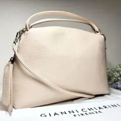 【未使用】　ジャンニキャリーニ　アリファ　M バッグ　2way 人気カラー