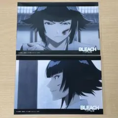 Item thumbnail for item e65139ed-076f-405e-a299-fea204b25833