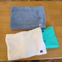 Item thumbnail for item 3f54b7a3-f29d-43b6-bfd4-3d678c784201