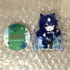 ふ*ん様 ウマ娘 ミニアクリルスタンド ヴィルシーナ