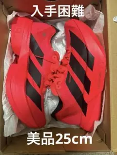 入手困難 完売モデル アディオスプロ4 adidas pro4 25cm