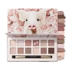 PERFECT DIARY アイシャドウパレット 17 ROSE PINK