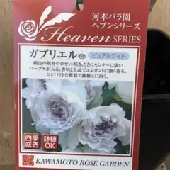 のこのこ様 リクエスト 3点 まとめ商品