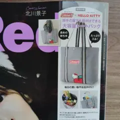 インレッド12月号付録のみ