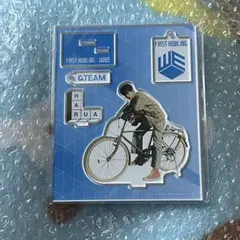 &TEAM HARUA ハルア POPUP WE アクスタ アクリルスタンド 9