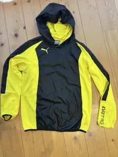 Item thumbnail for item ccb50c6b-90e9-4b73-a4cf-e16a15d2cccd