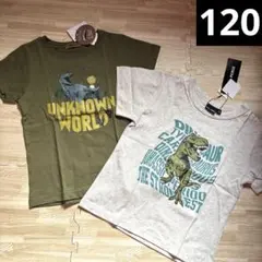恐竜　半袖　Tシャツ　しまむら　ブリーズ　ユニクロ好きな方　120