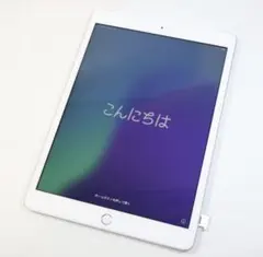 Apple iPad