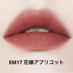 INTO U スーパーマットリップ＆チークマッド EM17 泥リップのサムネイル