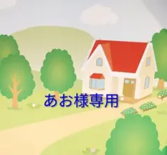 あお様 リクエスト 2点 まとめ商品