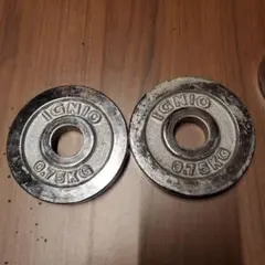 IGNIO 0.75kg プレート2枚 28mm用　②