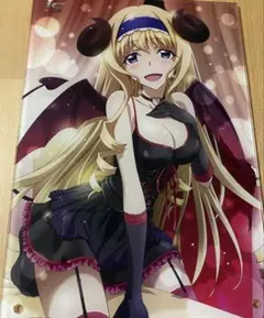 インフィニット・ストラトス 篠ノ之箒＆セシリア・オルコット B2