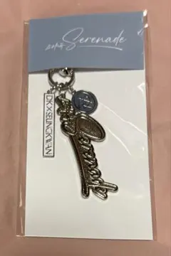 DxS popup キーホルダー Serenade