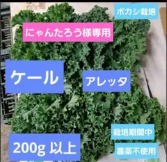 にゃんたろう様専用です。ボカシ栽培の栽培期間中農薬不使用ケールとアレッタ