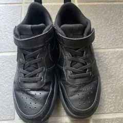 Item thumbnail for item 75e6a92e-f872-480a-9f6b-92a14d3aee5d