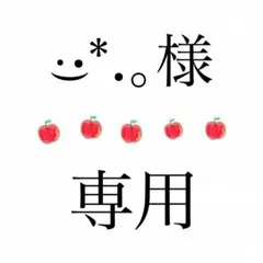 ·͜·*.。 様専用