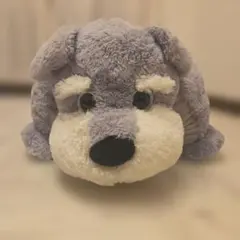 コストコ シュナウザー BIG ぬいぐるみ レアのサムネイル